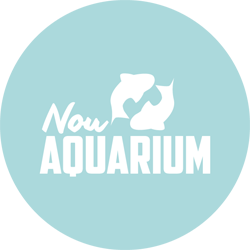Restaurante Nou Aquarium